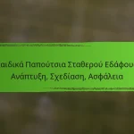 Παιδικά Παπούτσια Σταθερού Εδάφους: Ανάπτυξη, Σχεδίαση, Ασφάλεια