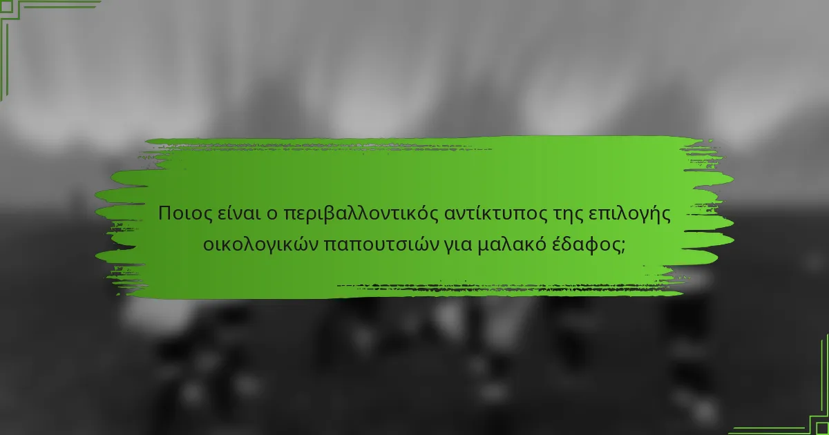 Ποιος είναι ο περιβαλλοντικός αντίκτυπος της επιλογής οικολογικών παπουτσιών για μαλακό έδαφος;